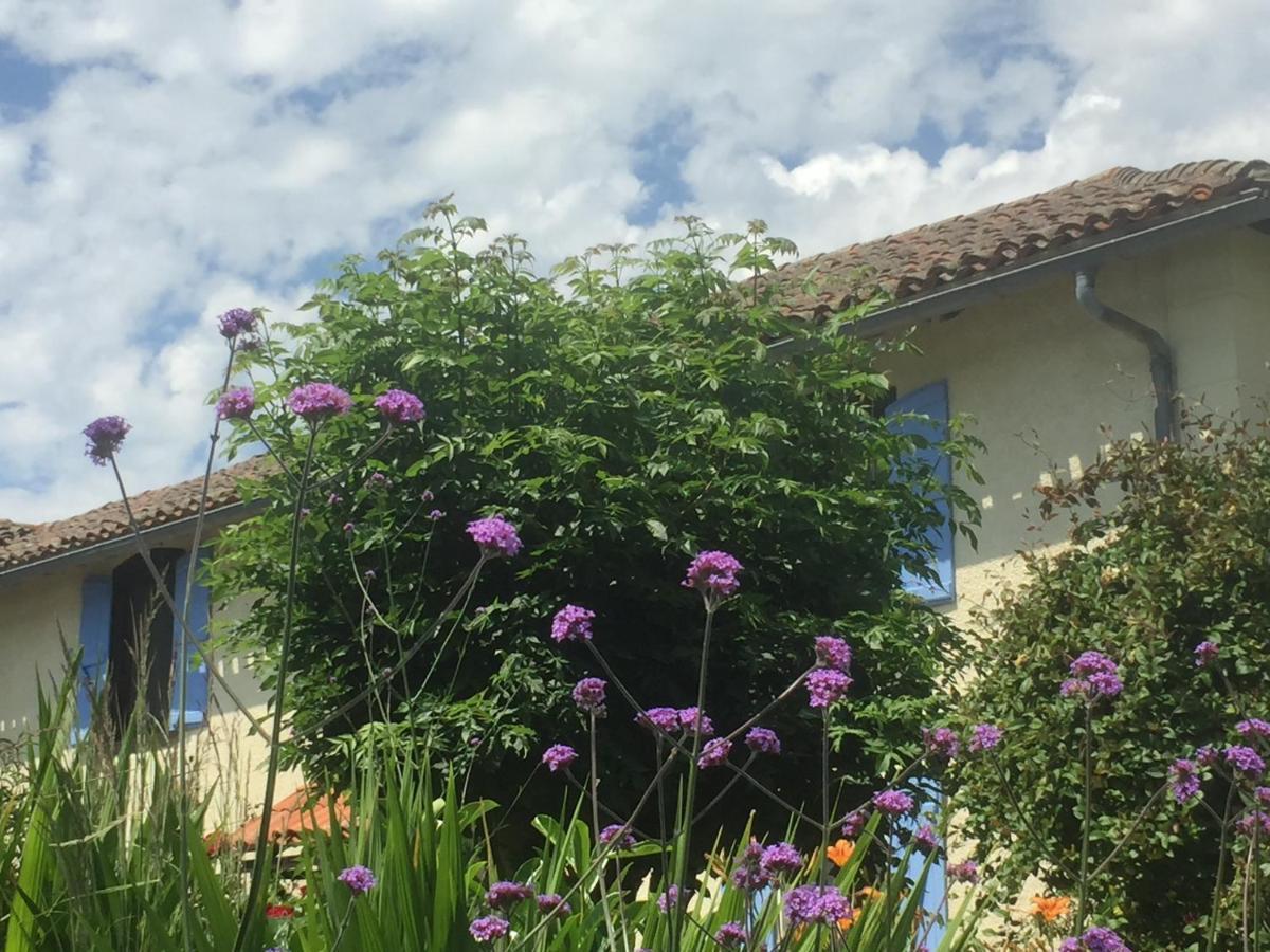 Michouat Chambre D'Hotes Vidou 外观 照片
